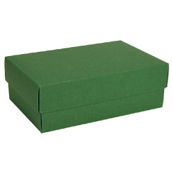 Коробка картонная, "COLOR" 11,5*6*17 см; зеленый (зеленый)
